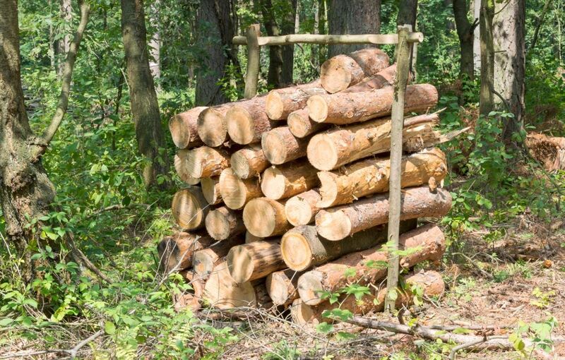 AFFOUAGE 2026 AFFOUAGE 2026